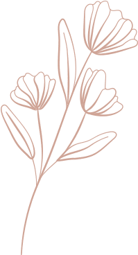 shape 2