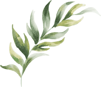 leaf 1 1